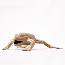 Feng Shui Frog 